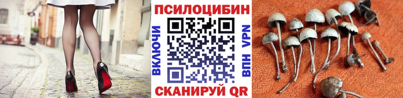купить наркотики сайты  Арсеньев  Галлюциногенные грибы мухоморы 